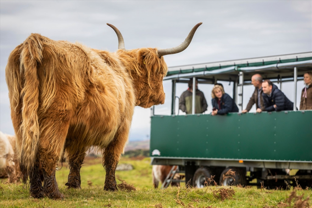 Top Attractions to Explore Near Ryan Bay Holiday Park in the South of Scotland